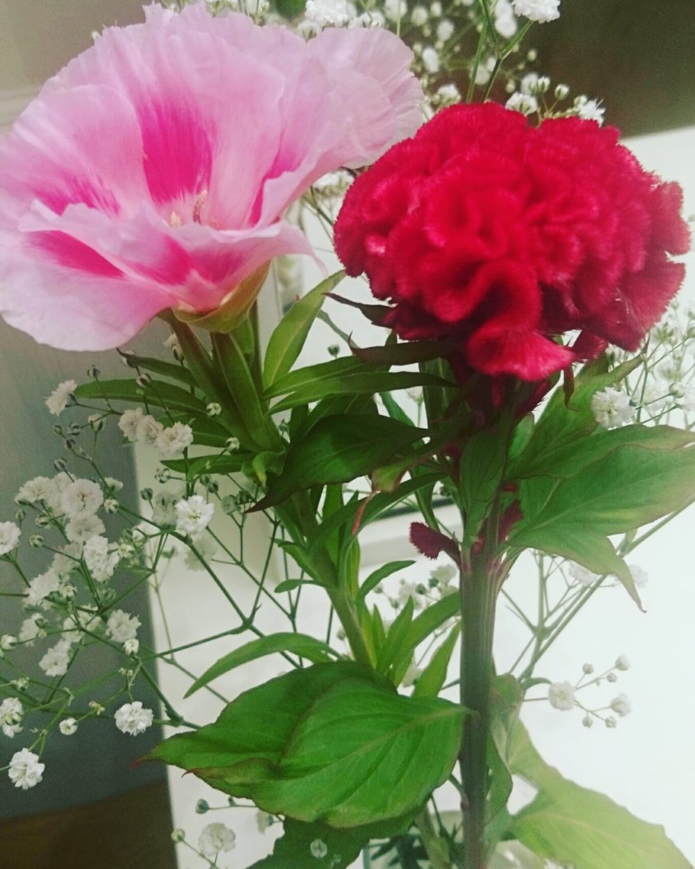 花のある生活。目からの癒しと香りからの安らぎを感じてください。